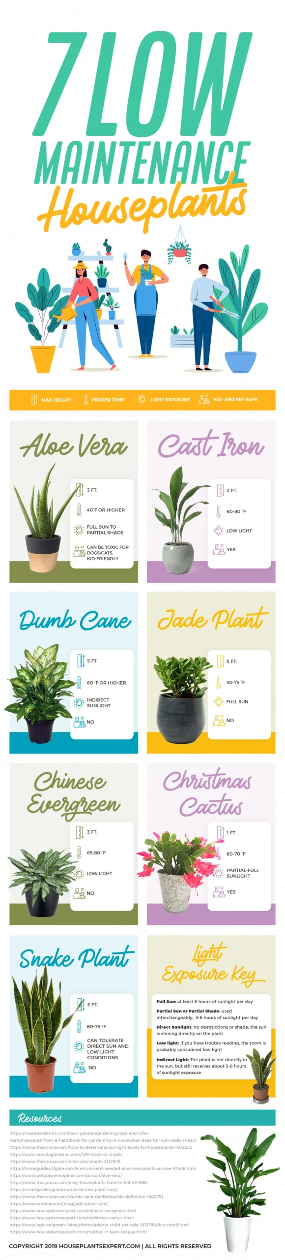 7 plants easy to care for
