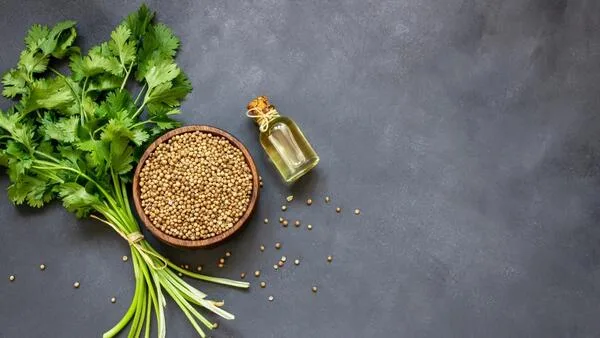Coriander plant seed oil